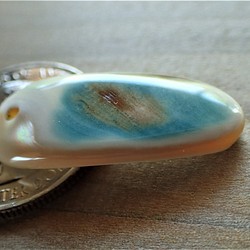 沖縄産夜光貝 ペンダントトップ　小さい牙型 1枚目の画像