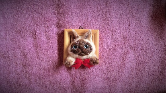 羊毛フェルトの可愛いシャム猫フレーム 1枚目の画像