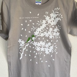 【櫻目白図　グレー】純白の桜が新しく美しい。モダン和柄スタイルです。★和柄Ｔシャツ専門店【Tシャツ工房三宝堂】 1枚目の画像