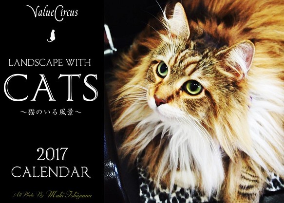 カレンダー2017 「猫のいる風景」 1枚目の画像
