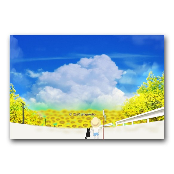 「空ばかり見ていた夏の日」　ほっこり癒しのイラストポストカード3枚組　No.1134 1枚目の画像