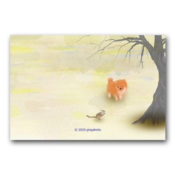 「冬支度中なの？遊ぼうよ～」　豆柴　リス　犬　ほっこり癒しのイラストポストカード3枚組　No.1222 1枚目の画像