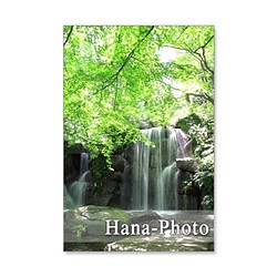 1091) 美しい新緑と水の風景   ポストカード5枚組 1枚目の画像