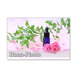 1194) ピンクのバラシリーズ　　　ポストカード5枚組　1 1枚目の画像