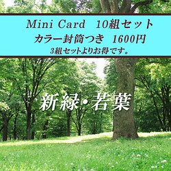 新緑・若葉のミニカード（カラー封筒つき） 10組セット 1枚目の画像