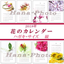 花のカレンダー　1　 はがきサイズ縦版　2018年　 1枚目の画像