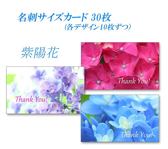 No.013  紫陽花のアップ　  名刺サイズサンキューカード   30枚 1枚目の画像