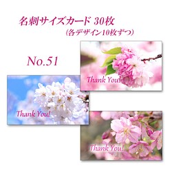 No.51  桜　　  名刺サイズサンキューカード  30枚 1枚目の画像