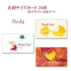 No.084  美しい秋の葉3　　名刺サイズサンキューカード   30枚 1枚目の画像