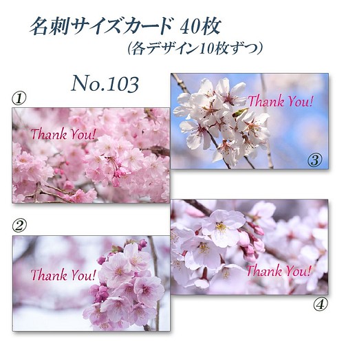 No.103 春爛漫の桜たちのカード 名刺サイズサンキューカード 40枚 ...
