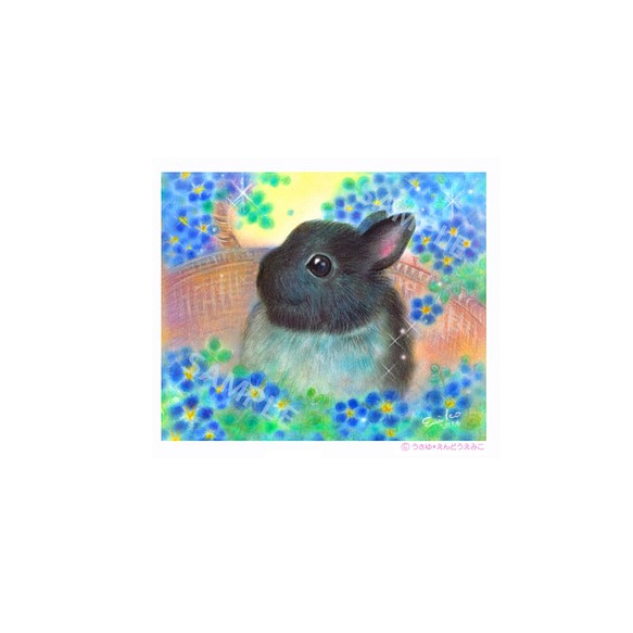 【選べるポストカード5枚セット】No.40 rabbit 02 1枚目の画像