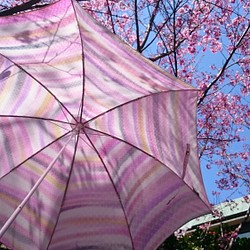 折り畳み晴雨兼用日傘『乙女全開ですが何か？』（水玉地紋生産中止なので、限定一本・着物にも洋服にも・） 1枚目の画像