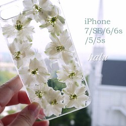 押し花iPhoneケース/千鳥草（デルフィニウム） 1枚目の画像