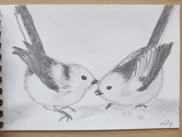 しまえなが　鉛筆画　原画　１点物　国内送料無料　白い鳥 1枚目の画像