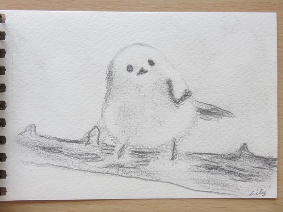 しまえなが　鉛筆画　原画　１点物　国内送料無料　白い鳥 1枚目の画像