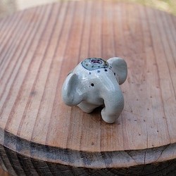 チビ象-小さいぞう（象） 1枚目の画像