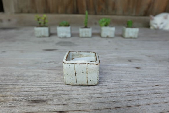 mini-pot 植木鉢 1枚目の画像