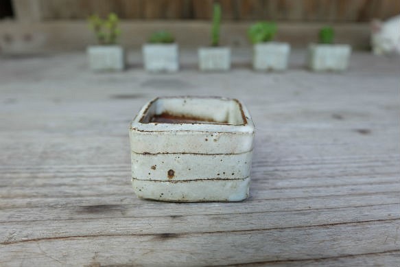 mini-pot 植木鉢-Ⅳ 1枚目の画像