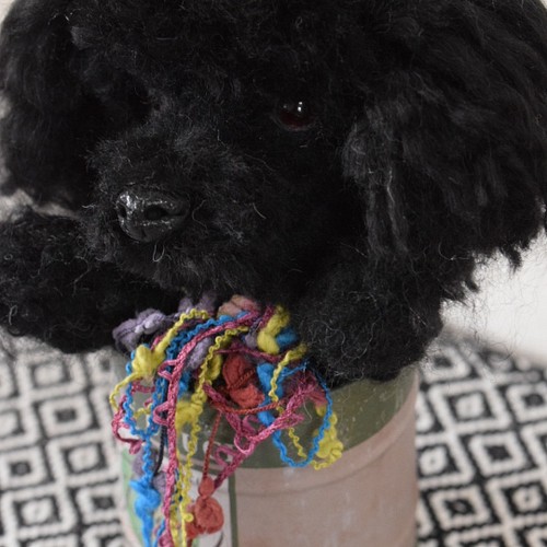 羊毛フェルト トイプードル 黒 カップ犬 飾り 羊毛フェルト yamasaki 