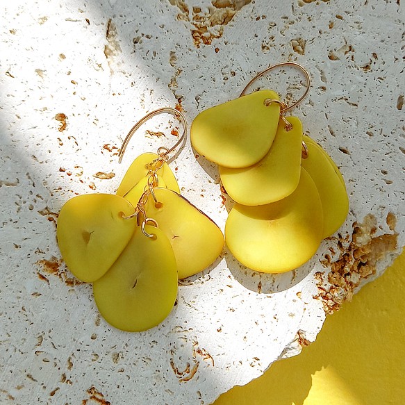 送料無料14kgf Yellow Tagua Nuts layers pierced earringsタグア