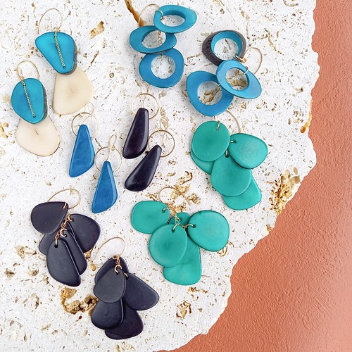 送料無料14kgf Turquoise ring Tagua Nuts pierced earringタグア