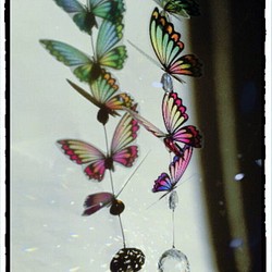 【送料込み】蝶々のステンドグラス風レインボーサンキャッチャー 1枚目の画像
