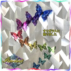 光を透すクリアな蝶のウォールステッカー(11枚) 1枚目の画像