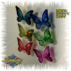 【再販】クリアな蝶のマグネット（大）6個セット 1枚目の画像