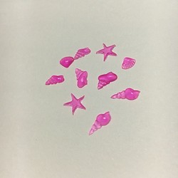 2.透明ピンク貝殻、1セット10個入り 1枚目の画像
