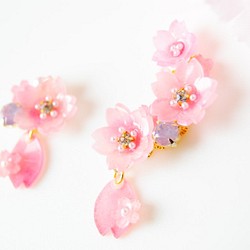 花便り桜のイヤーカフ&イヤリング / ピアス 1枚目の画像