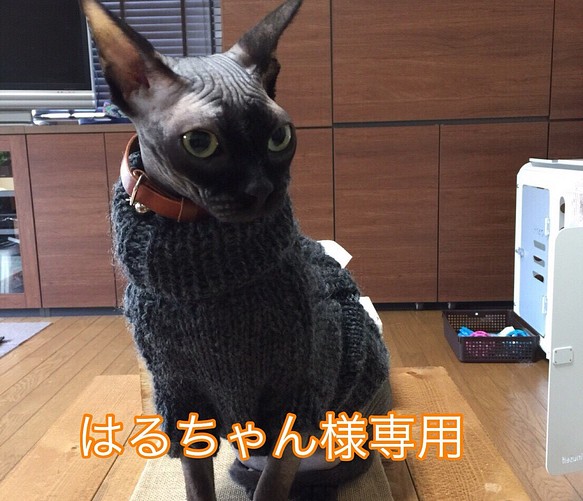 猫ちゃんの為のセーター ペット服・アクセサリー 編み物屋さん 通販