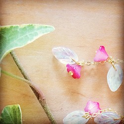 5弁花が可愛いイヤリング 1枚目の画像