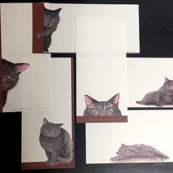 一筆便箋「黒猫純喫茶」 1枚目の画像