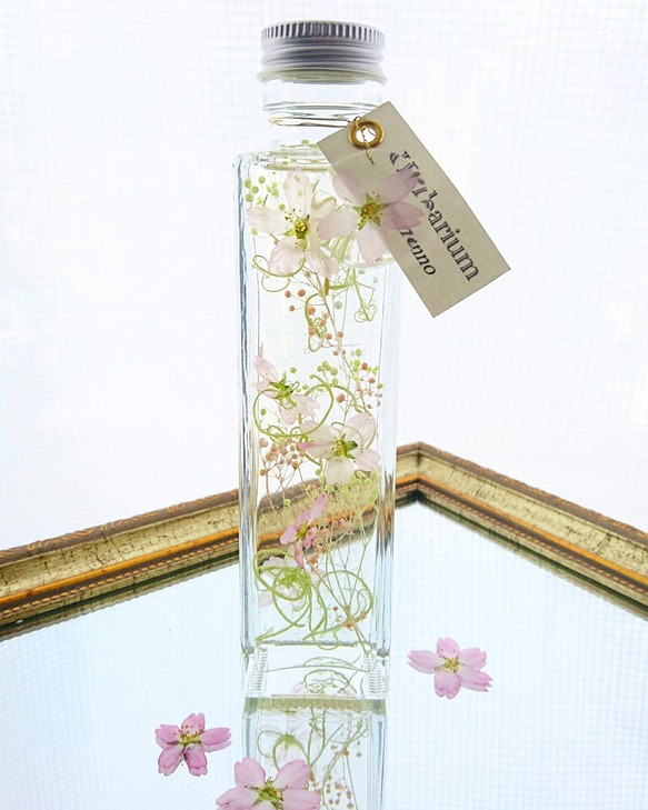 【春色：桜】ハーバリウム（植物標本）～150ml　1本～ 1枚目の画像