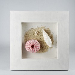 【SOLD OUT】FI　シェルフレーム　ピンクシーウーチン　筍貝　淡水パール 1枚目の画像