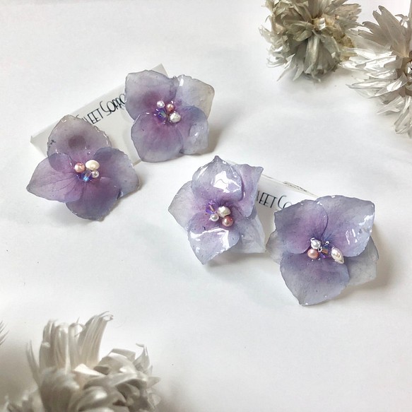 薄紫紫陽花のピアス/イヤリング 1枚目の画像