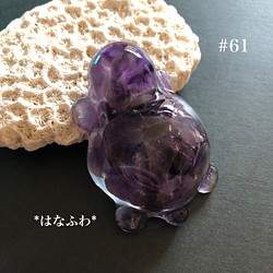 *紫亀  #61（アメジスト） 1枚目の画像