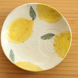 18厘米的餃子檸檬菜。 第1張的照片