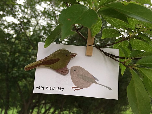 wild bird life　ブローチ　ウグイス 1枚目の画像