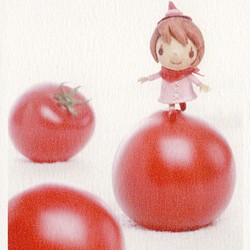 【90】選べるポストカード4枚セット『トマトの子』 1枚目の画像
