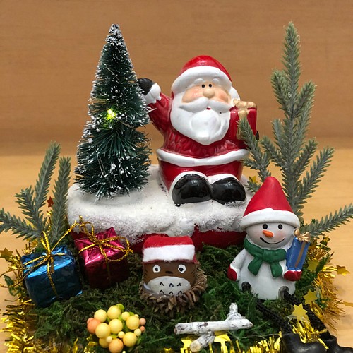 どんぐり人形サンタツリー陶器飾り【置物】 クリスマスツリー さおりん ...