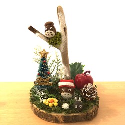 どんぐり人形流木クリスマス飾り【置物】 1枚目の画像