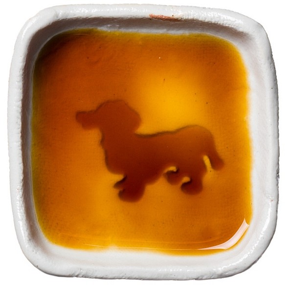 腊肠犬，迷你腊肠犬，猪獾犬，狗影的浮现的小碟子，四角 第1張的照片