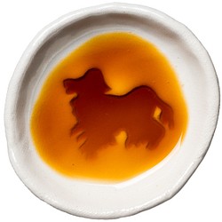 美国可卡，斗鸡獚 ，斗鸡犬 ，可卡长毛，狗影的浮现的小碟子，圆 第1張的照片