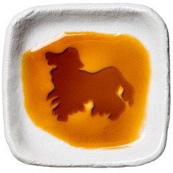 美国可卡，斗鸡獚 ，斗鸡犬 ，可卡长毛，狗影的浮现的小碟子，四角 第1張的照片