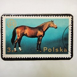 ポーランド馬切手ブローチ1224 1枚目の画像