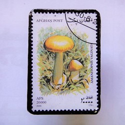 阿富汗郵票胸針1407 第1張的照片