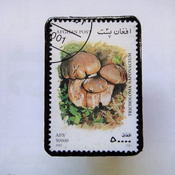 アフガニスタン　切手ブローチ1411 1枚目の画像
