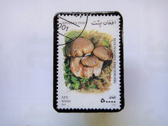 アフガニスタン　切手ブローチ1411 1枚目の画像