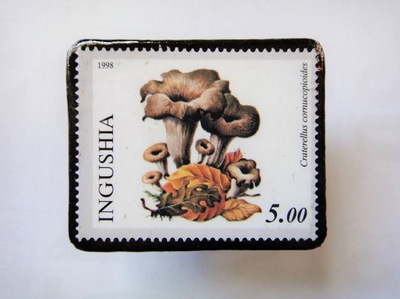 印古什共和國郵票胸針1415 第1張的照片
